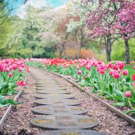 jardin sur un terrain en pente