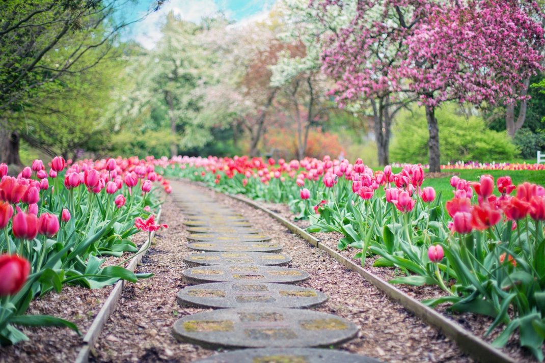 jardin sur un terrain en pente