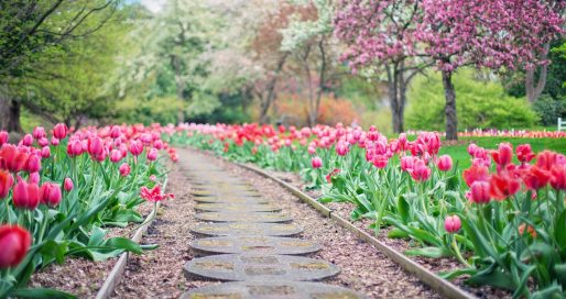 jardin sur un terrain en pente