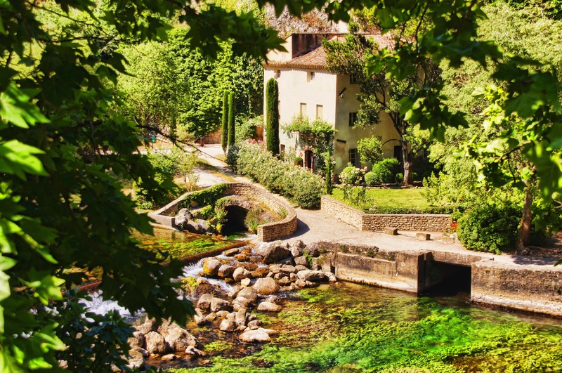 Le point sur l’aménagement du jardin méditerranéen