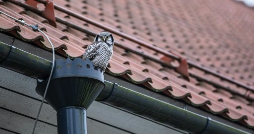 Trouver une Entreprise de Toiture en Urgence dans le Brabant Wallon